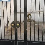 度假居 Bilocale Centralissimo Vista Mare 29